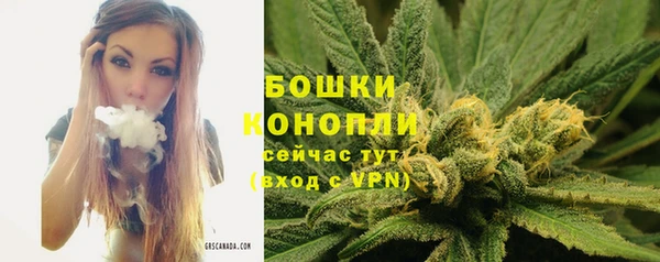 ешки Ладушкин