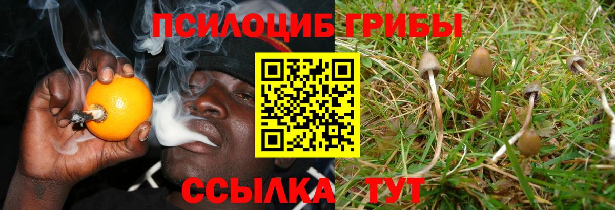продажа наркотиков  Галлюциногенные грибы Magic Shrooms  Вход с VPN  Нягань 
